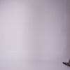 Gibsen Burgundy Velvet Ballet Flats | Dolce Vita