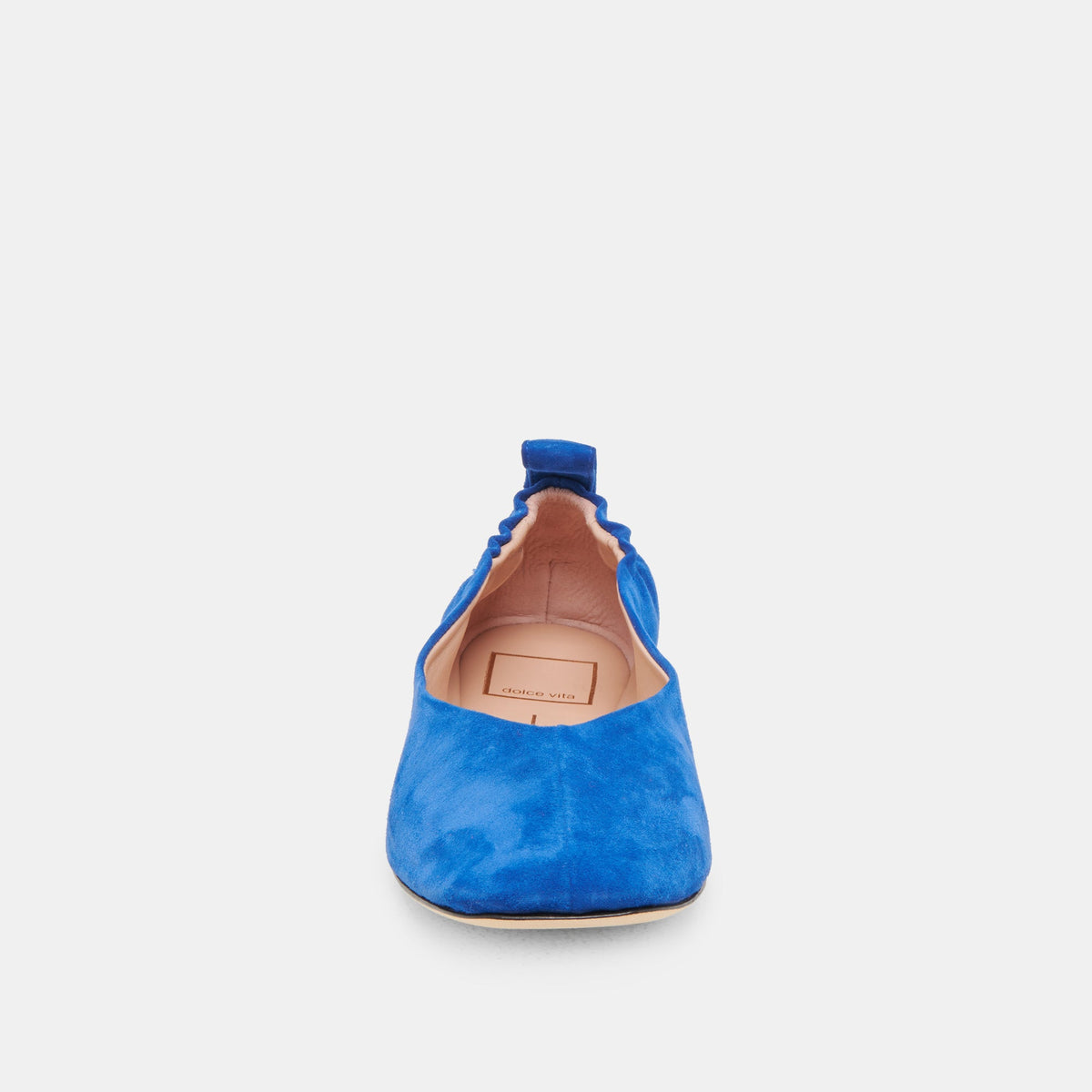 VINNIE BALLET FLATS NAVY SUEDE | Dolce Vita