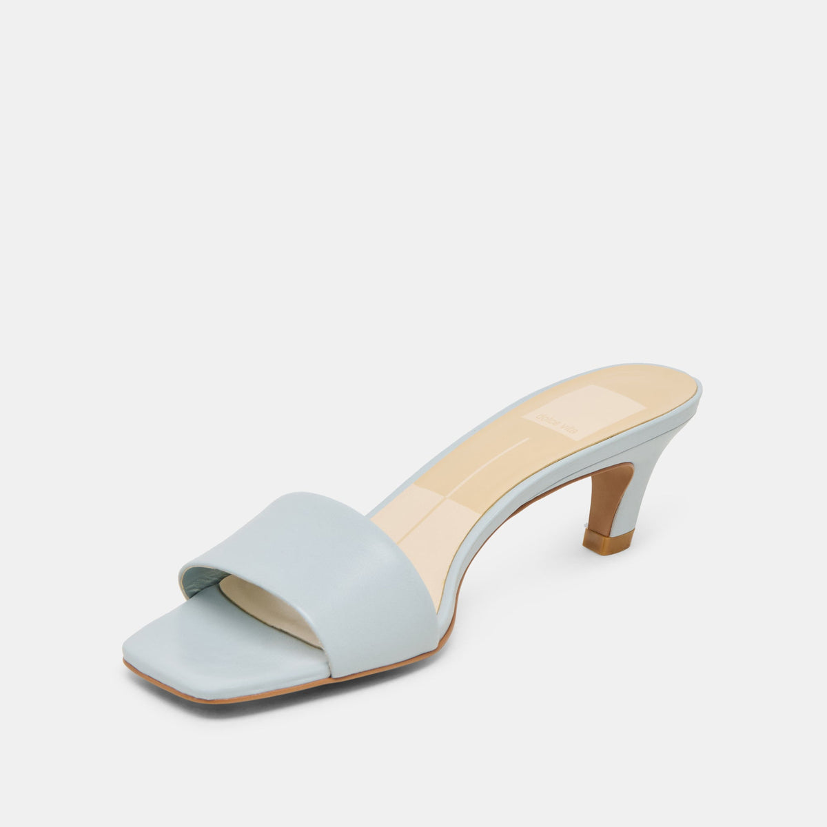 Rexa Ice Blue Leather Heels | Dolce Vita