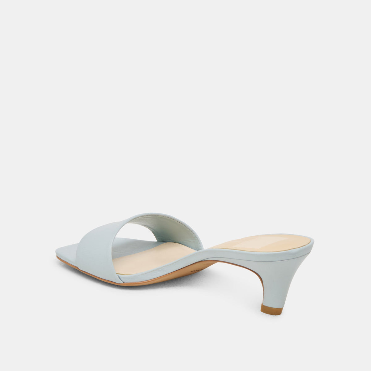 Rexa Ice Blue Leather Heels | Dolce Vita