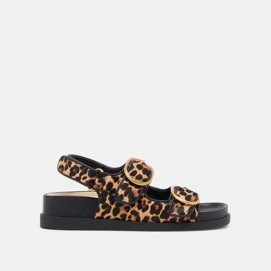 STARLA SANDALS LEOPARD BLACK CALF HAIR | Dolce Vita