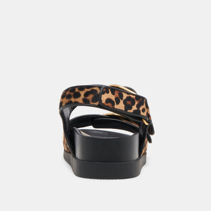 STARLA SANDALS LEOPARD BLACK CALF HAIR | Dolce Vita