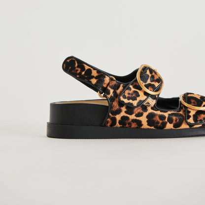 STARLA SANDALS LEOPARD BLACK CALF HAIR | Dolce Vita
